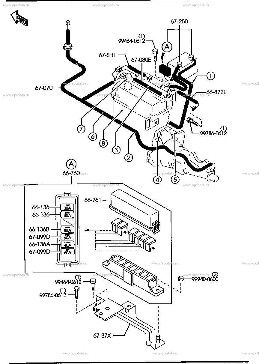 Engine & transmission wire harness (gasoline)