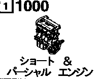 1000A - Short & partial engine (gasoline & lpg)